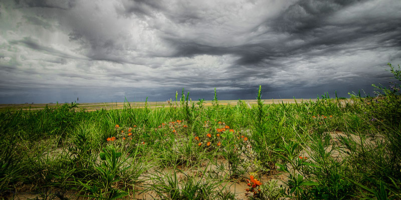 Pawnee-National_Grassland